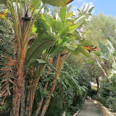 & Golf Design Apartamento *